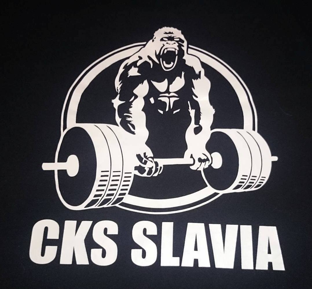 Slavia Ruda Śląska